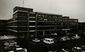 Thumbnail for version as of 16:11, 16 March 2020