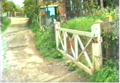 Thumbnail for version as of 15:26, 18 November 2022