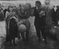 Thumbnail for version as of 12:48, 29 January 2025