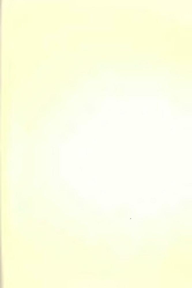 File:History of Hastings Castle Vol. 2.pdf
