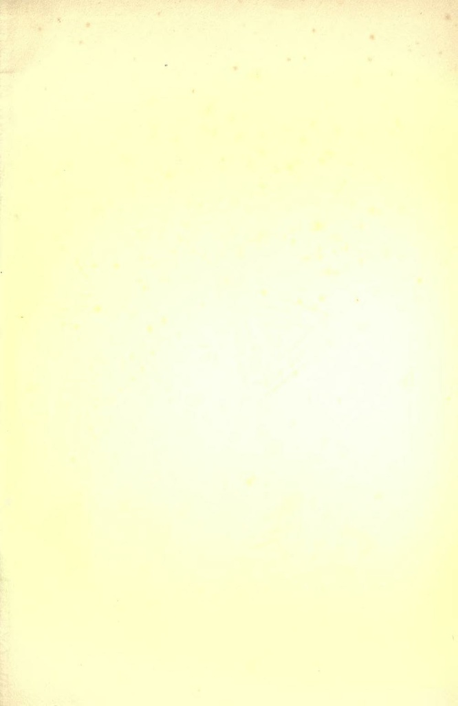 File:History of Hastings Castle Vol. 2.pdf