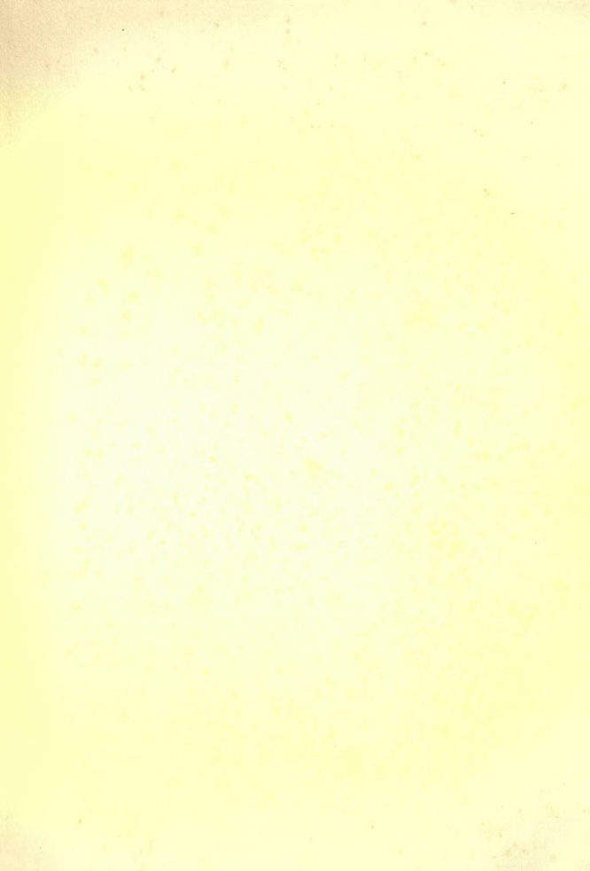 File:History of Hastings Castle Vol. 2.pdf