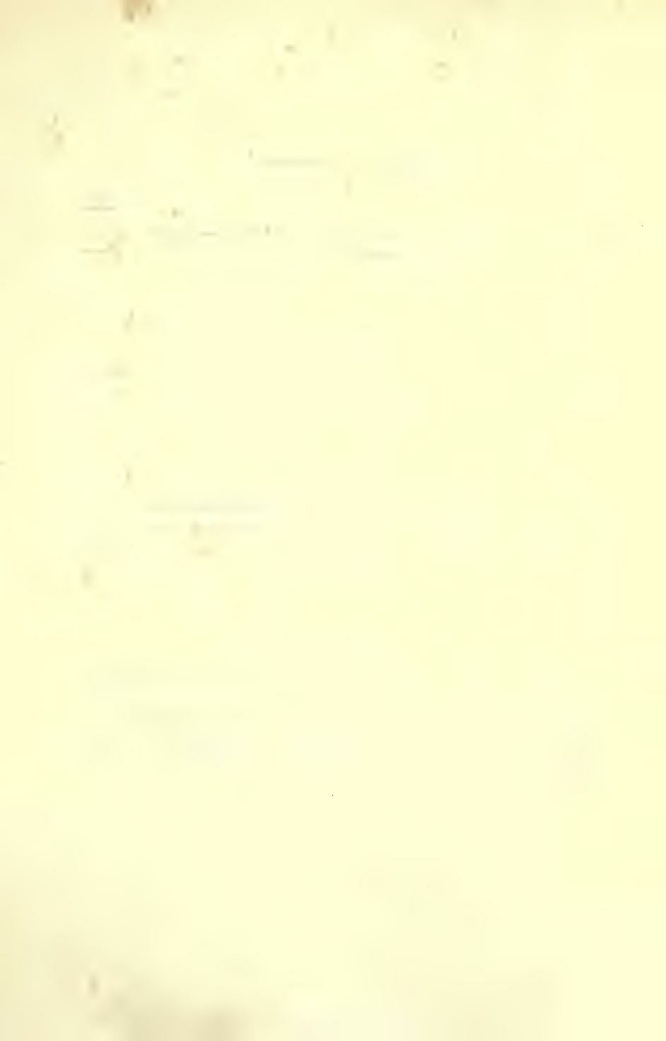 File:History of Hastings Castle Vol 1.pdf