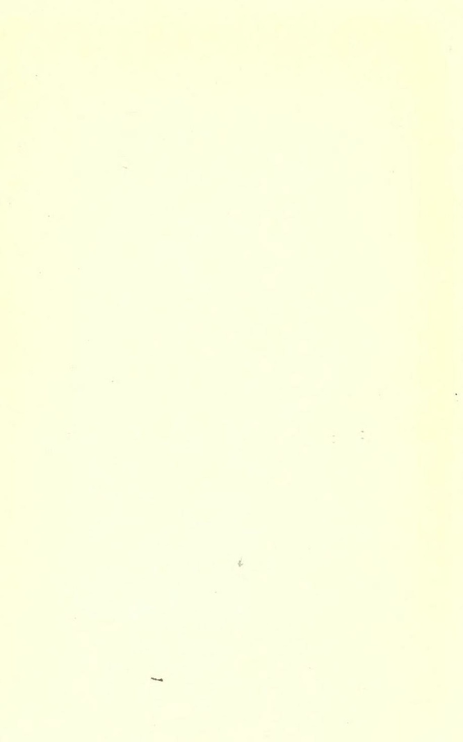 File:History of Hastings Castle Vol 1.pdf