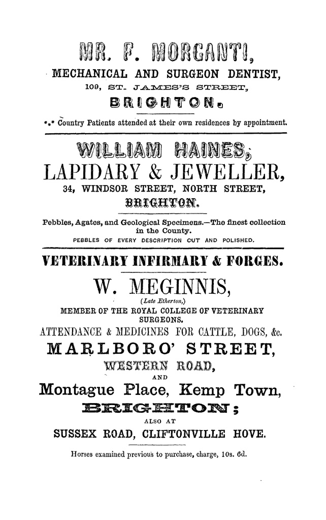 File:Melville & Co.'s Directory and Gazetteer of Sussex, 1858.pdf