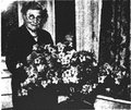 Thumbnail for version as of 15:34, 2 November 2020
