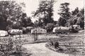 Thumbnail for version as of 15:13, 11 April 2020